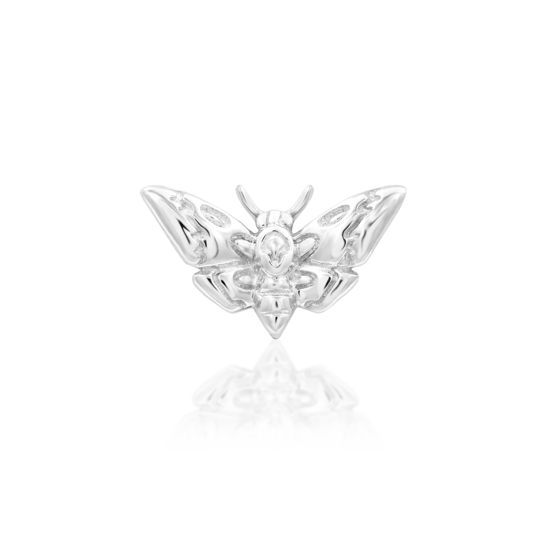 Deaths-head Moth - Afbeelding 3