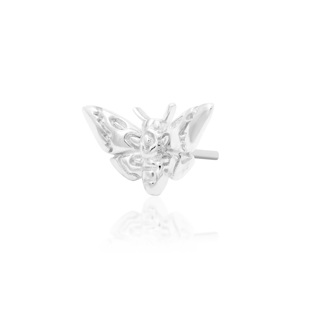 Deaths-head Moth - Afbeelding 4