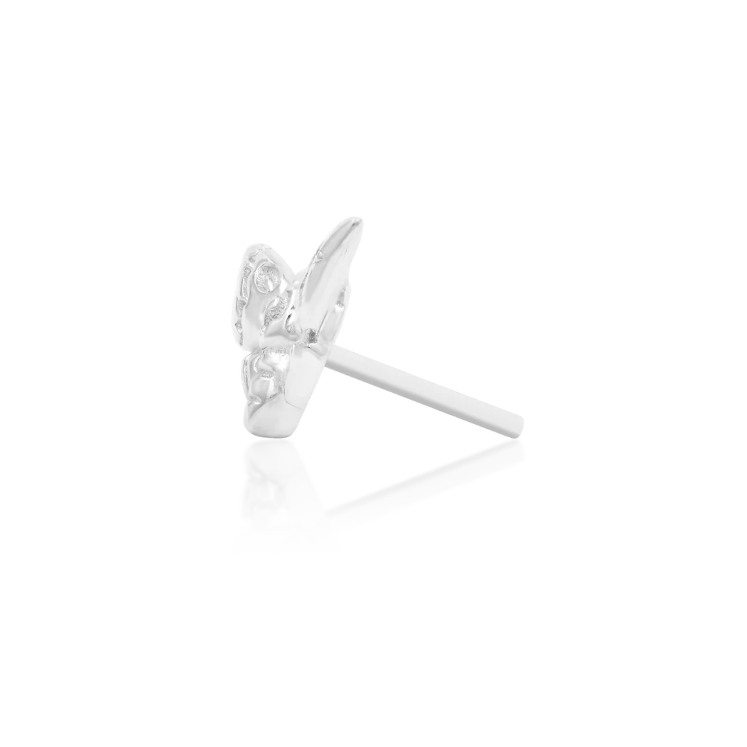 Deaths-head Moth - Afbeelding 5