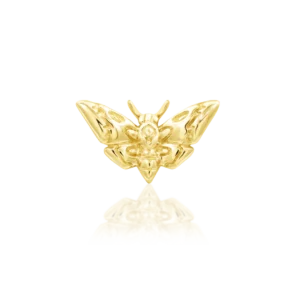 Deaths-head Moth