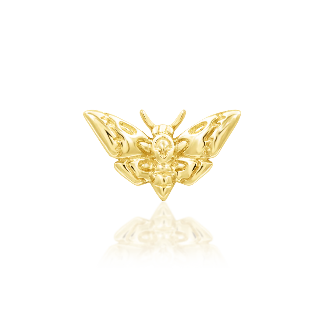 Deaths-head Moth