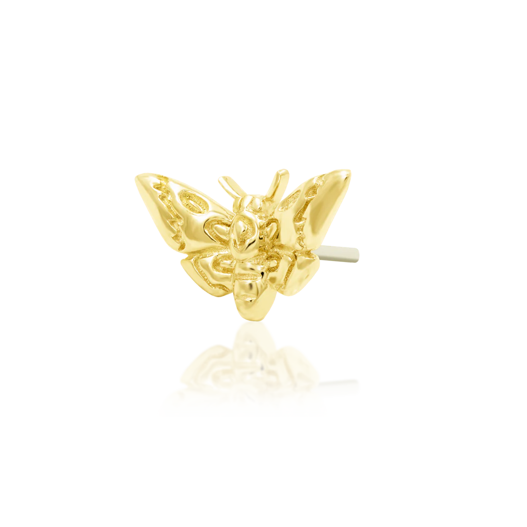 Deaths-head Moth - Afbeelding 2