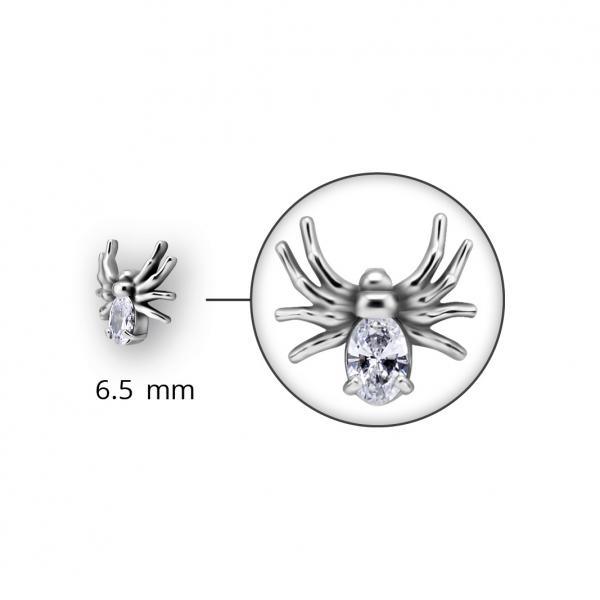 Arachné - Afbeelding 2