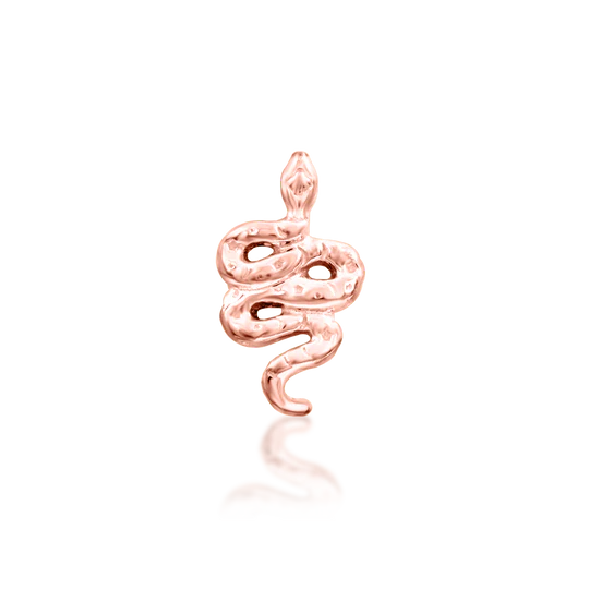Hammered Hiss - Afbeelding 3