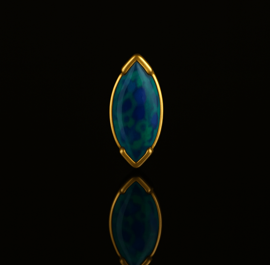 Polychroma - Afbeelding 2