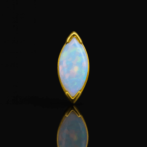 Polychroma