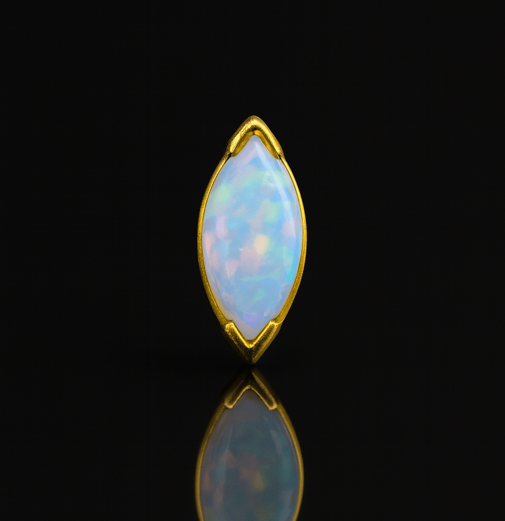 Polychroma