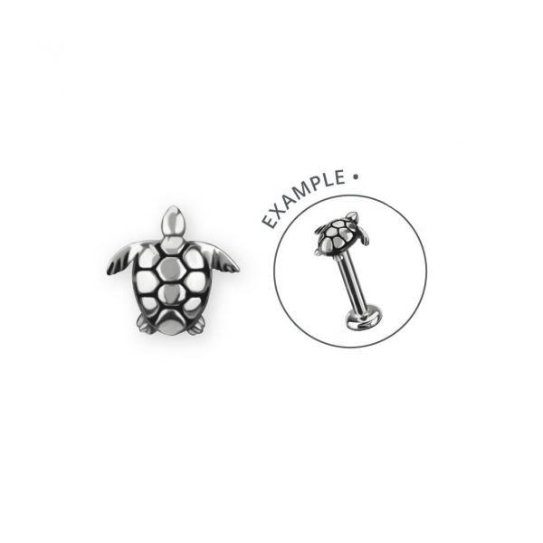 Carapace - Afbeelding 2