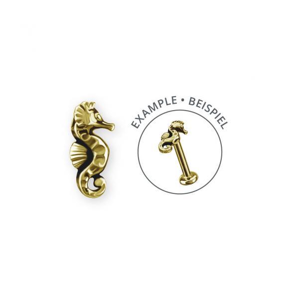 Hippocampe